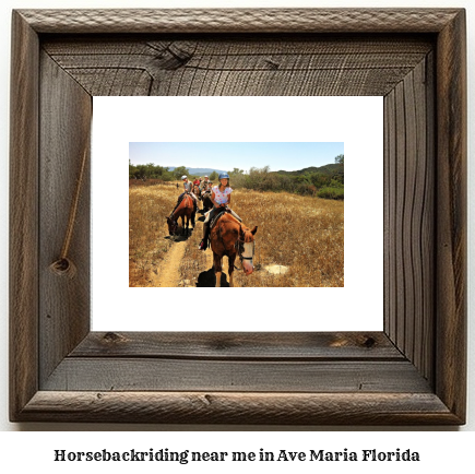 horseback riding near me in Ave Maria, Florida